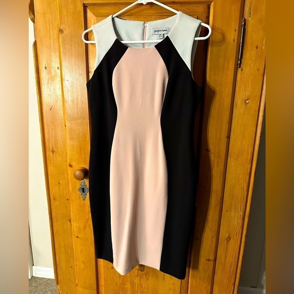 Shelby + Palmer Sheath Dress Black/White/Pink Womenโs Size 6P Barbiecore Pretty